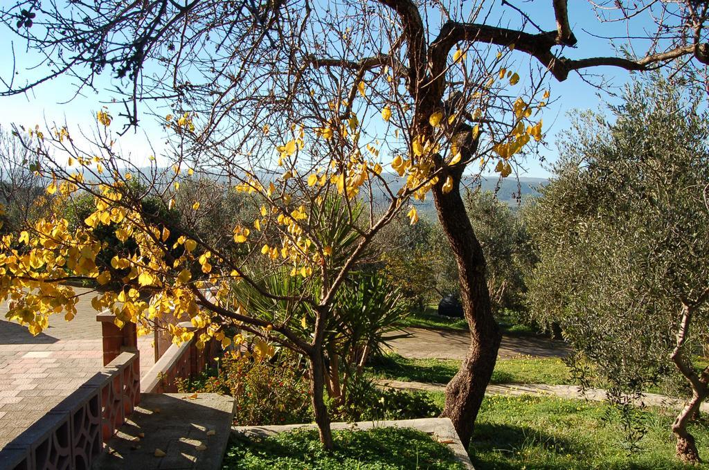 B&B Le Cicale Vieste Extérieur photo