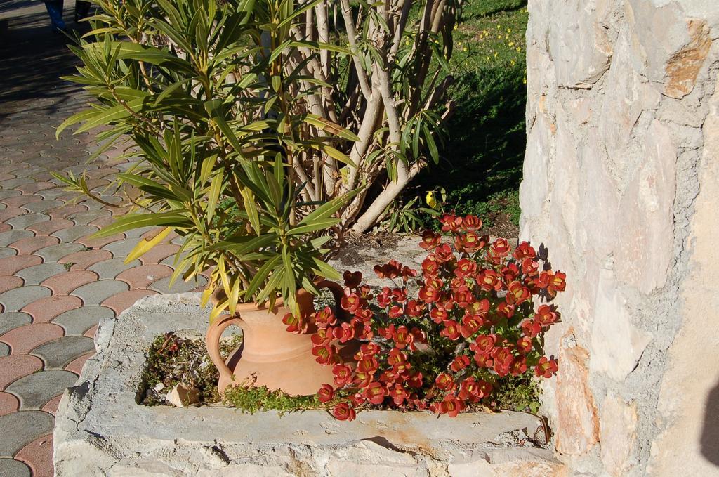 B&B Le Cicale Vieste Extérieur photo